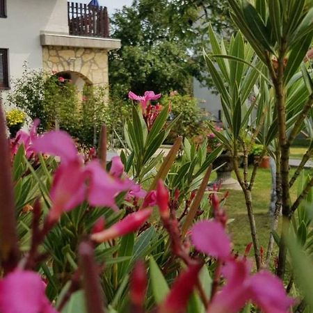 Guest House Ruza Korenica Exterior foto