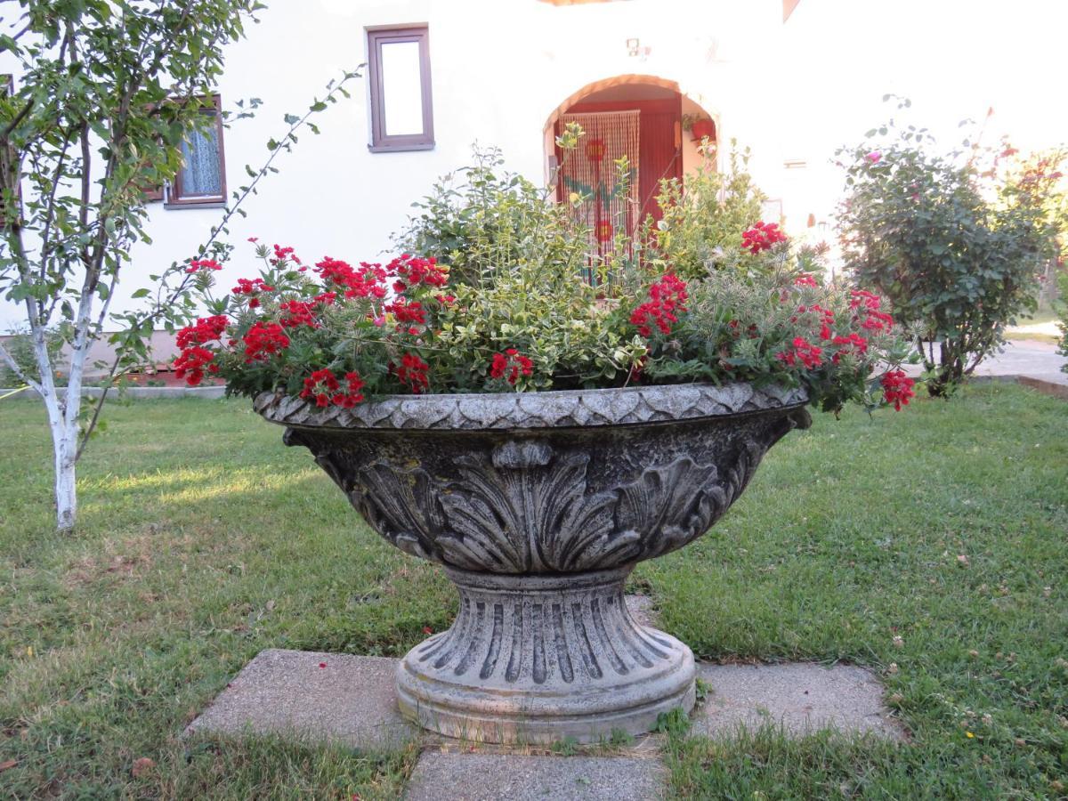 Guest House Ruza Korenica Exterior foto